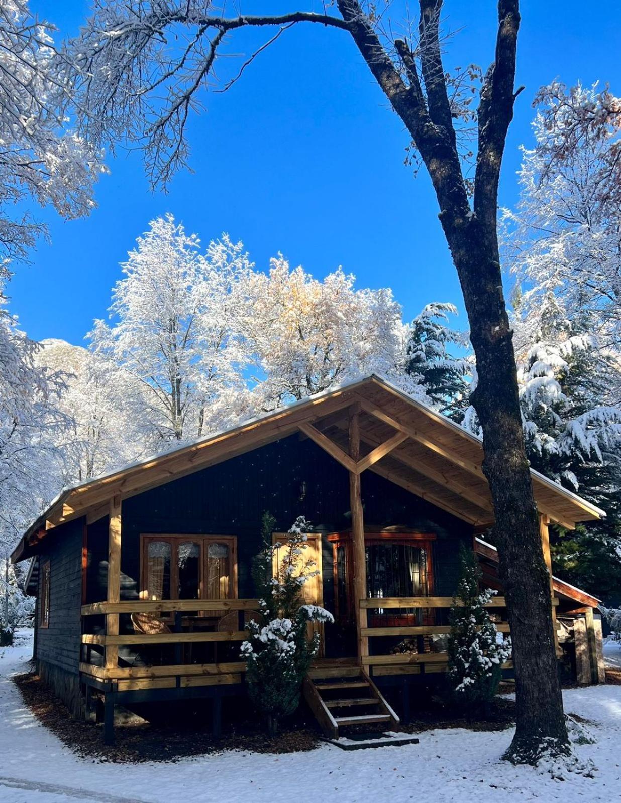 Cabanas Bosque Лас Транкас Екстериор снимка